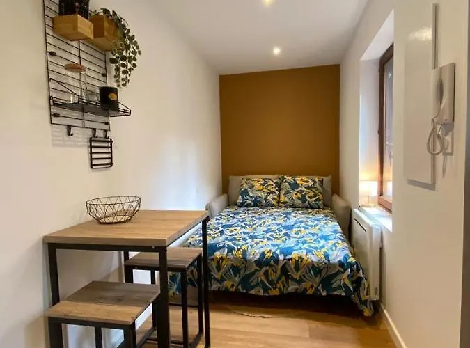 Le Pti Toulousain 23 Centre Appartement *